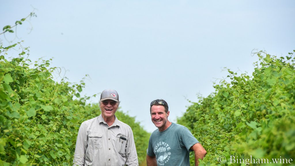 21.07.26_vineyardDaveRiley_003-1200-web-16x9-1 | Bingham Family Vineyards Dave Reilly and Cliff Bingham standing in a vineyard row at Bingham Family Vineyards.