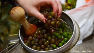 mashing grapes for testing