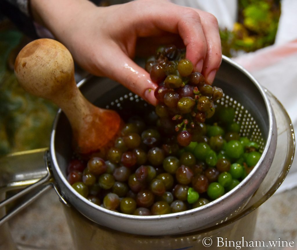 21.08.11_winerytesting-grapes_006.1200.web_ | Bingham Family Vineyards mashing grapes for testing
