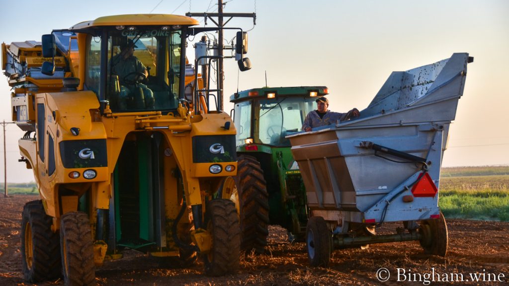 21.08.16_harvestgrapes_003-1200-web-16x9-1 | Bingham Family Vineyards Grape harvester next to a dump bin harvesting grapes at Bingham Family Vineyards.