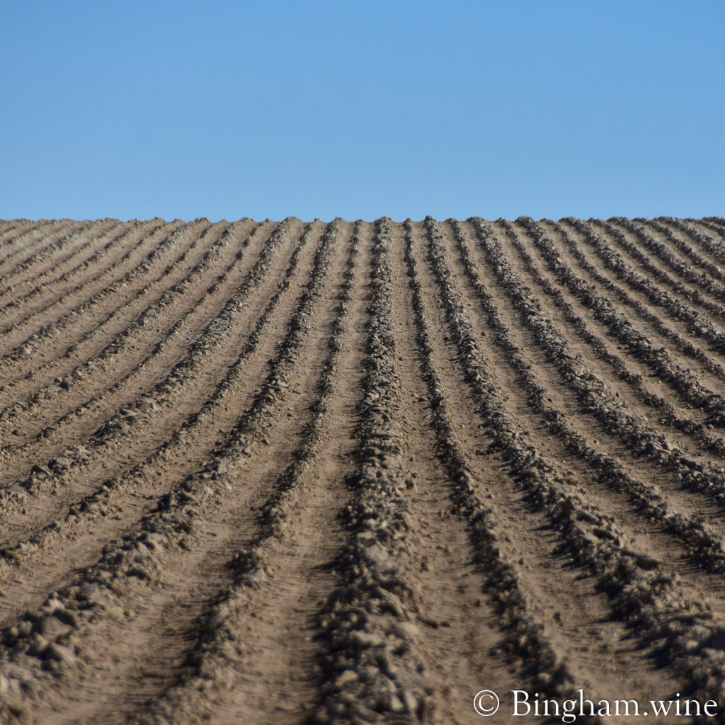 22.01.13_emptyplowedfields_005.1200.web.1x1 | Bingham Family Vineyards plowed field ready to plant