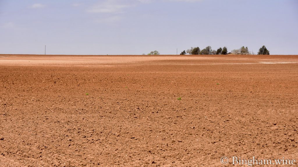 22.04.25_drought.field_002-1200-web-16x9-1 | Bingham Family Vineyards empty field ready because of lack of rain at Bingham Organic Farms