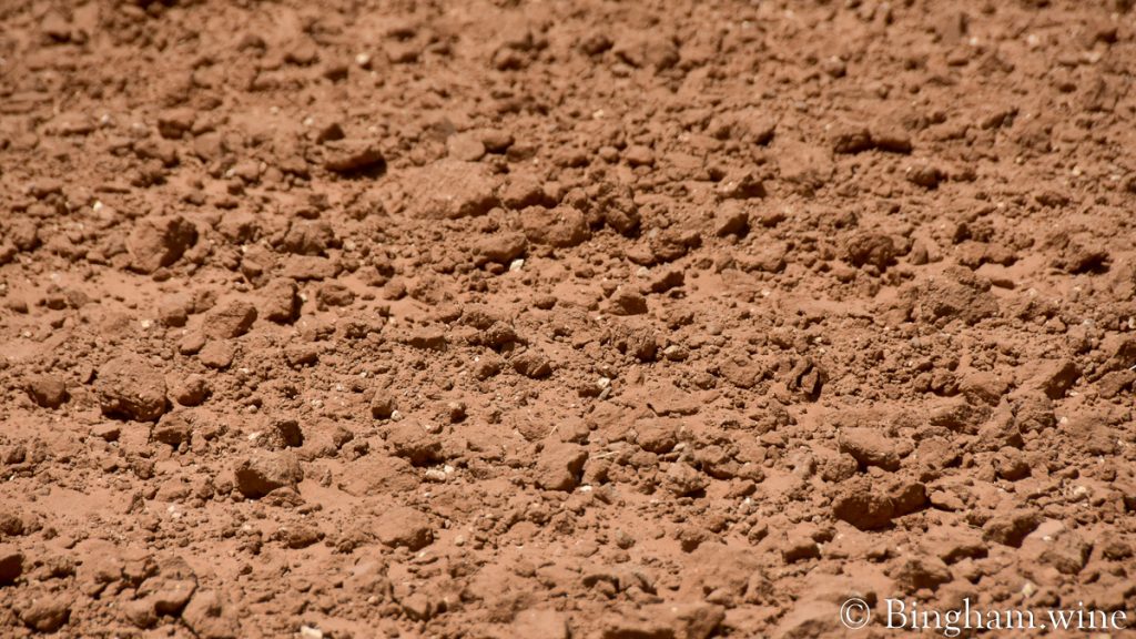 22.04.25_drought.field_008-1200-web-16x9-1 | Bingham Family Vineyards close up of soil at Bingham Organic Farm