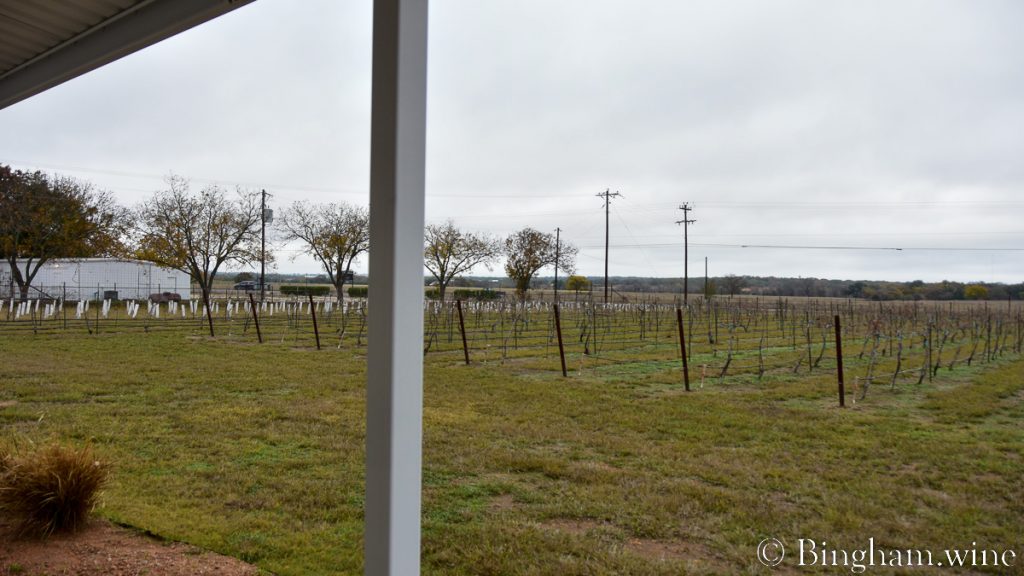 | Bingham Family Vineyards vineyard at Bingham Family Vineyards Hye, Texas