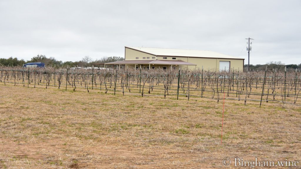 230128_HyeExterior_002-1200-web-16x9 | Bingham Family Vineyards Bingham Family Vineyards, Hye, Texas, location and vineyard.