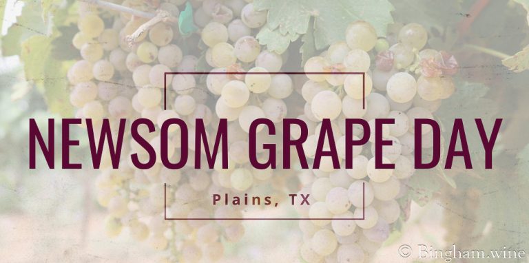 Newsom Grape Day 2024, Plains, Texas