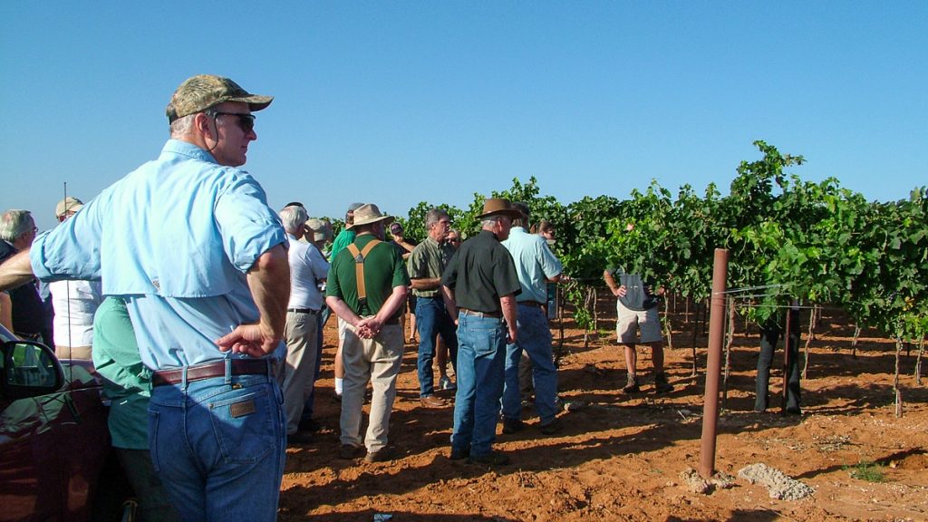090712_grapetastingclass_001-1200-web-16x9 | Bingham Family Vineyards visitors looking at vines at Bingham Family Vineyards
