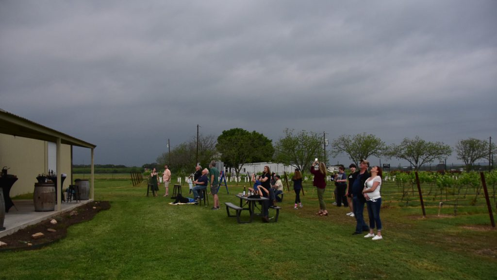 People watching the solar eclipse on April 8, 2024 at Bingham Family Vineyards, Hye, Texas