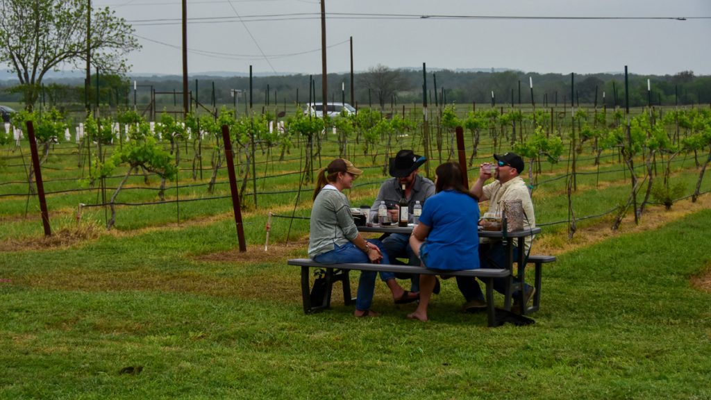 240408_HyeEclipse_056-1200-web-16x9 | Bingham Family Vineyards People visiting at the solar eclipse on April 8, 2024 at Bingham Family Vineyards, Hye, Texas