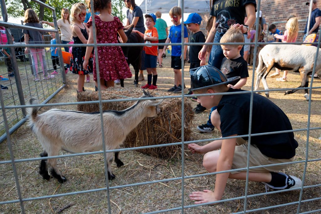 petting zoo for children at Celebrate Roanoke, Texas