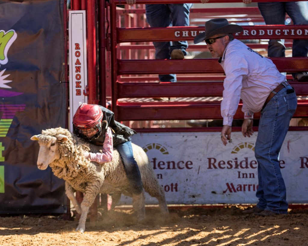 CelebrateRoanoke2023Roanoke1x1 | Bingham Family Vineyards children's rodeo at Celebrate Roanoke, Texas