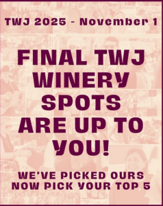 Texas Wine Jam, November 1, 2025, Johnson City, Texas - Vote Bingham
